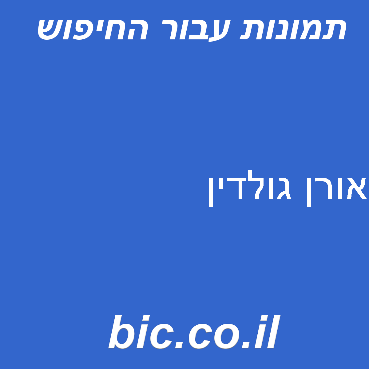 ﻿אורן גולדין