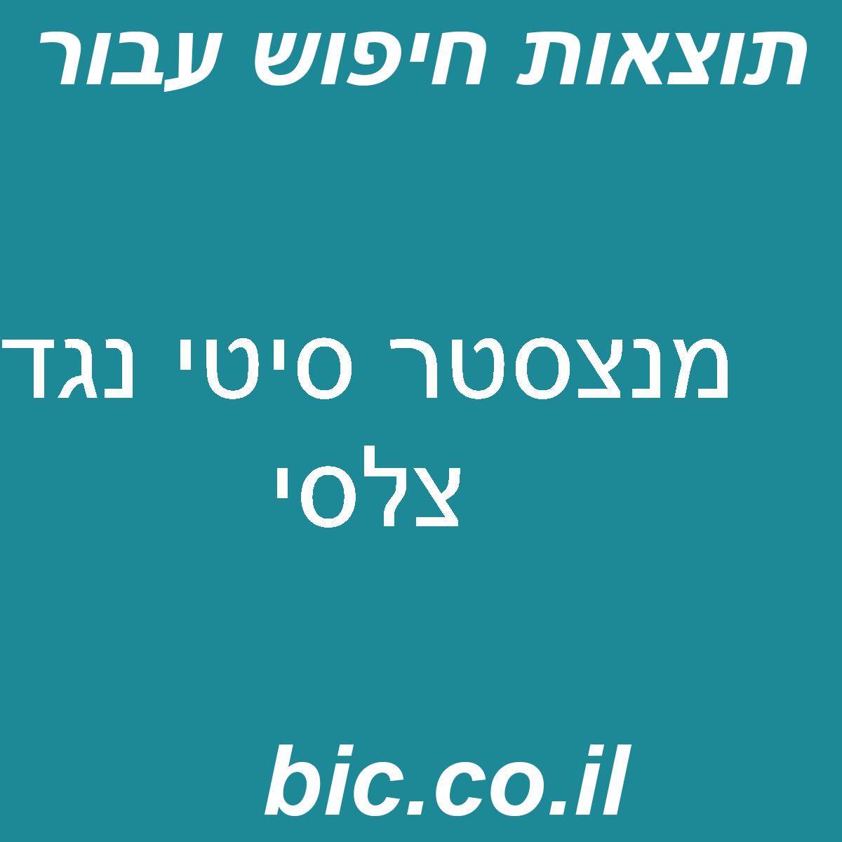 ﻿מנצסטר סיטי נגד צלסי